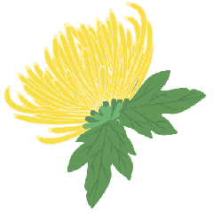 圖片關(guān)鍵詞